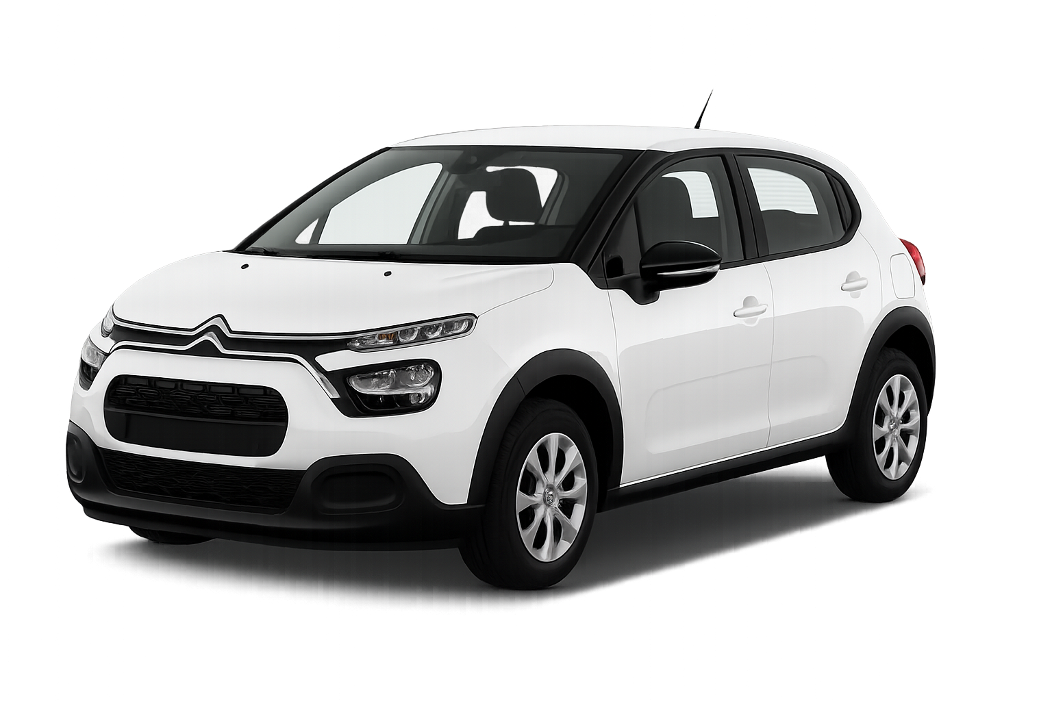 ChatGPT Image 19 de nov. de 2025, 14_48_01